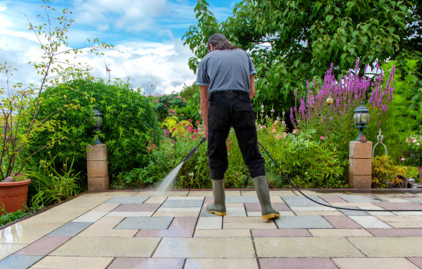 Best Winterizing Services  in Shamokin, PA